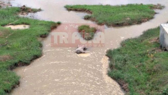 Body of 27 years man recovered Body of 27 years man recovered